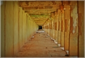 IIP Online Student Photography